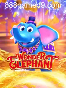 WonderElephant